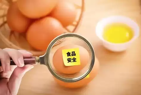 食品安全的定义是什么意思，食品安全的定义是什么