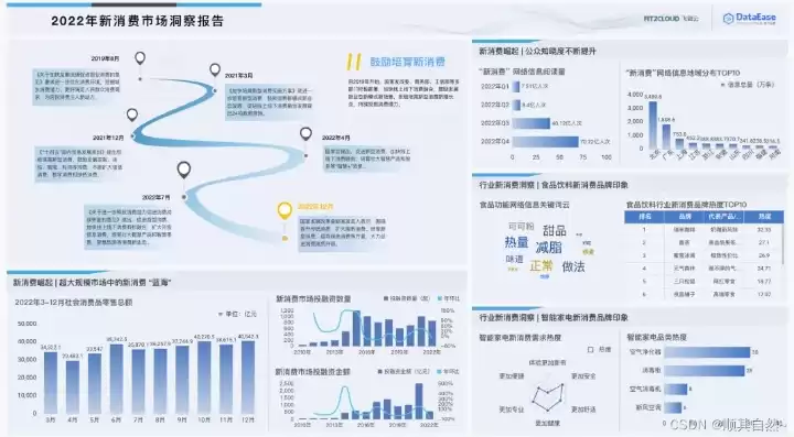 数据可视化开发设计方案，数据可视化开发平台的功能有哪些