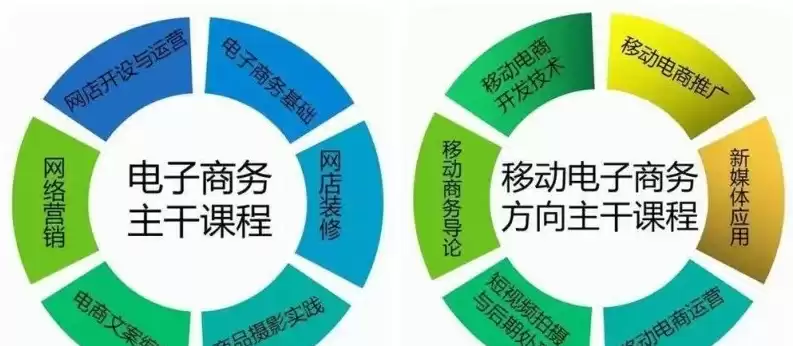 电子商务主要学什么内容中专，电子商务主要学什么内容