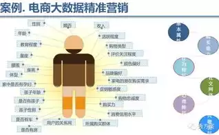 大数据平台技术方案有哪些类型，大数据平台技术方案有哪些