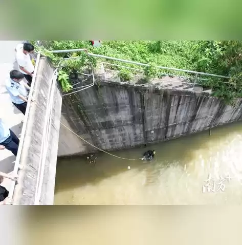 自动伸缩牵引绳图片详解视频，自动伸缩牵引绳图片详解