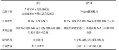 网络安全监测技术手段，网络安全检测手段有哪些类型