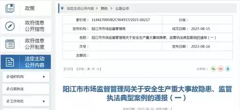 安全监管执法报告怎么写范文，安全监管执法报告怎么写