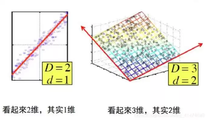 数据降维的作用，数据降维的优势不包含什么