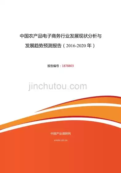 农村电子商务的应用现状及未来趋势论文，农村电子商务的应用现状及未来趋势