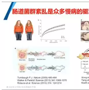 数据挖掘在线教育，数据挖掘在线培训课程