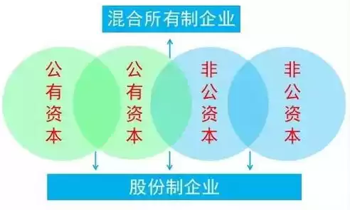 混合所有制有限公司，什么是混合有限责任公司