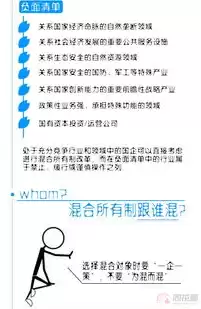 混合所有制有限公司，什么是混合有限责任公司