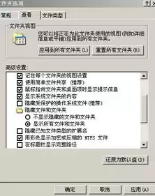 文件存储在外存还是内存，文件在外存上的分配方式有几种