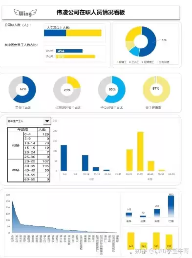 人力资源数据可视化模板，人力资源可视化服务体验