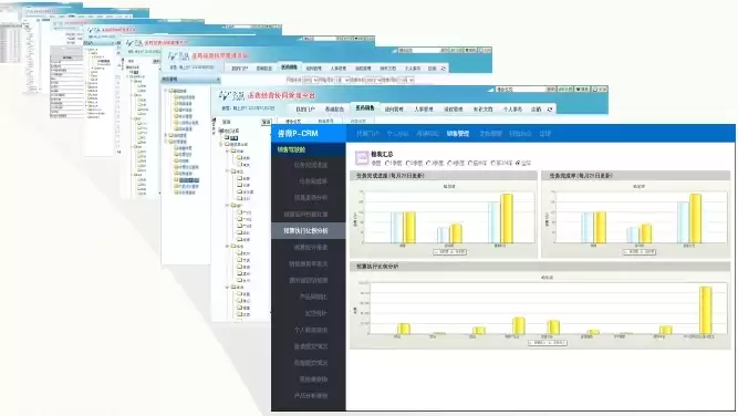 云盟信息技术有限公司，盟云管理系统药店版