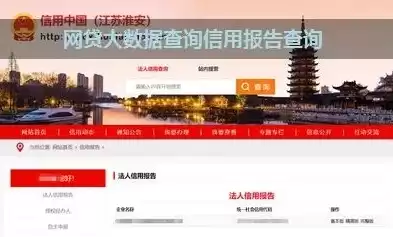 大数据信用报告查询官网，大数据信用风险报告查询免费