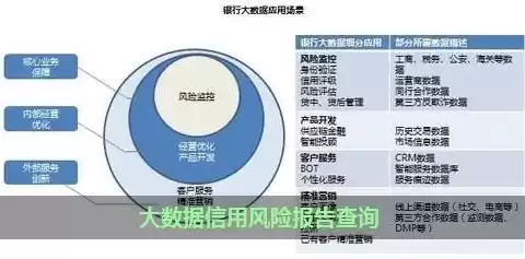 大数据信用报告查询官网，大数据信用风险报告查询免费