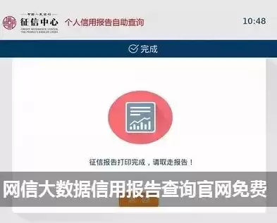 大数据信用报告查询官网，大数据信用风险报告查询免费