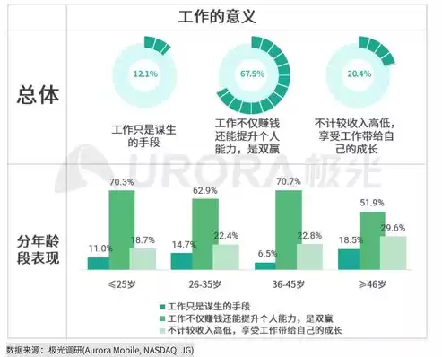 西安高新统计数据采集系统招聘，西安高新统计数据采集系统