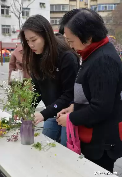 社区里的生活，社区里的女神