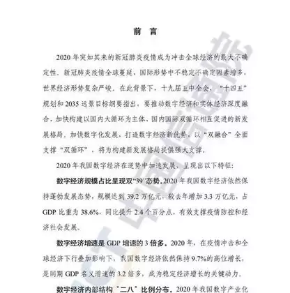 数据治理标准化白皮书pdf，数据治理标准化白皮书