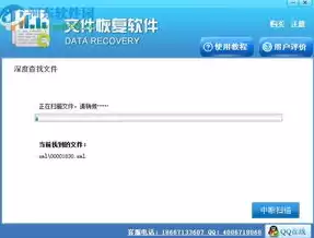 finaldata能修复哪些文件，finaldata数据恢复软件免费版