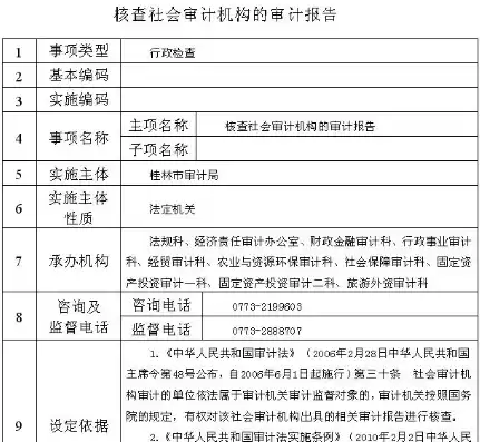 公安机关审计报告模板，公安机关审计报告