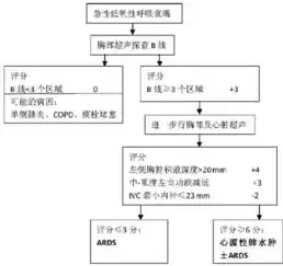 椎管内麻醉并发症及处理原则，椎管内麻醉并发症及处理流程