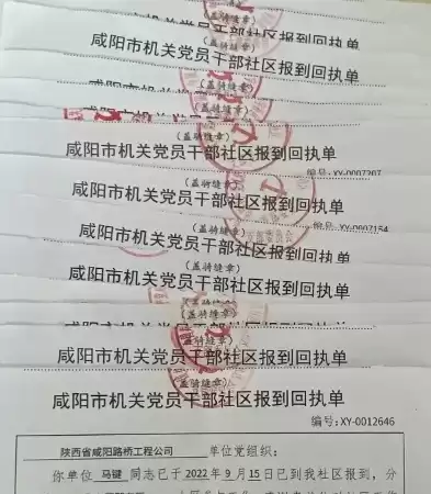 双报到党员回社区参与疫情，党员进社区双报到回执单