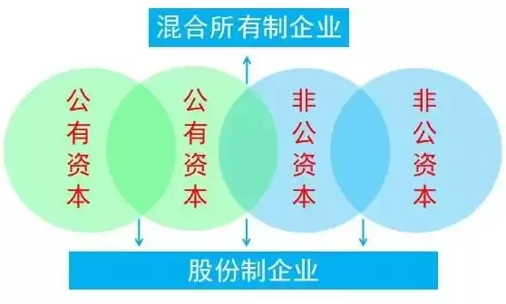 什么是混合所有制企业，什么是混合所有制