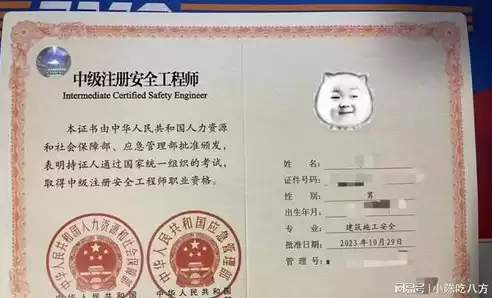 数据安全工程师技能要求，数据安全工程师证书有什么用途