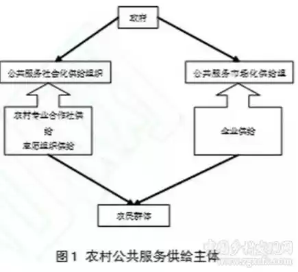 农村基本公共服务的特点，农村基本公共服务供给的主体是什么