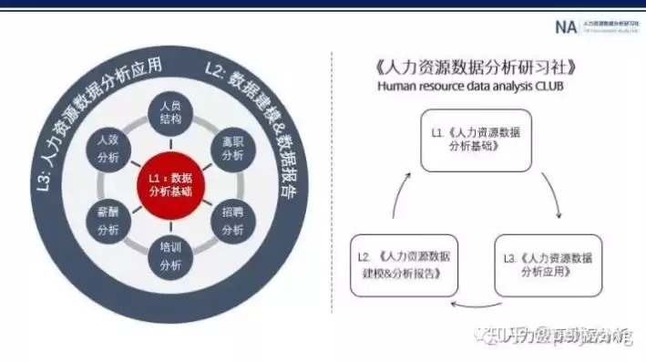 人力资源数据中心的构建思路是什么，人力资源数据中心的构建思路是什么