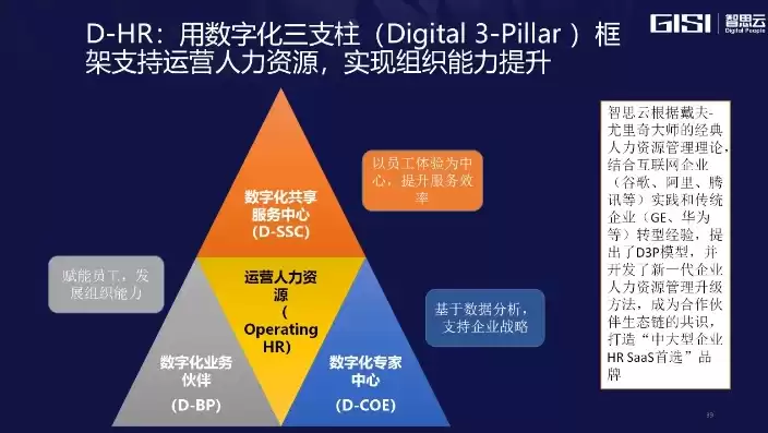 人力资源数字化平台解决方案怎么写，人力资源数字化平台解决方案