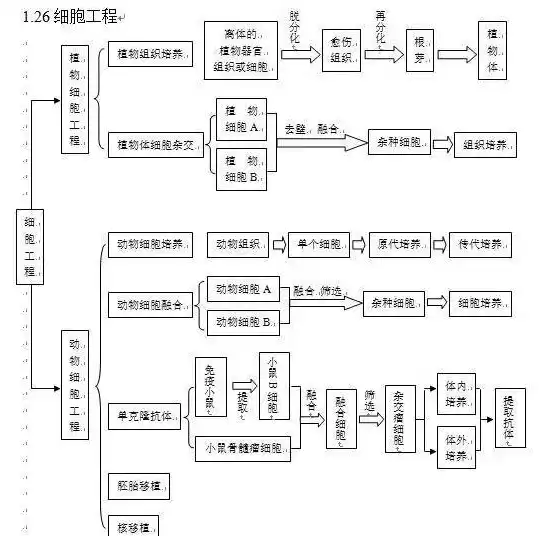 不属于关系数据库术语，不属于关系数据库特点的是哪一项