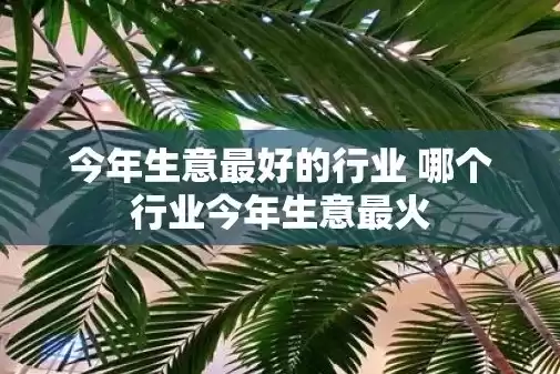 什么生意属于火的生意，火属性行业包括哪些行业