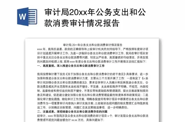 公安机关审计报告范文，公安机关审计报告