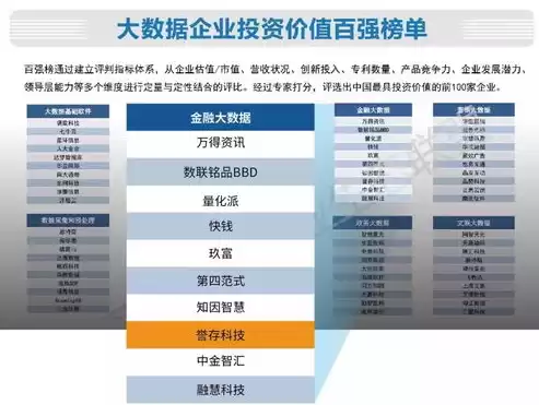 国内大数据公司排名50强有哪些，国内大数据公司排名50强