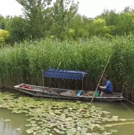 数据治理技术视频讲座，数据治理技术视频