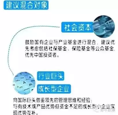 混合所有制企业的意思，什么是混合所有制企业举例说明