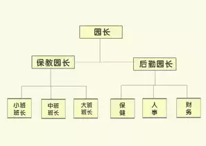 在幼儿园的实际管理活动中园长要处理好哪些关系，在园长发挥作用的条件中提到,处理好四个关系中下列正确的是