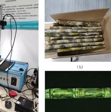 数据仓库与数据挖掘清华大学出版社，数据仓库与数据挖掘魏伟一