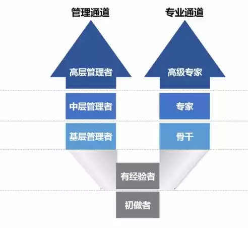 网络开发工程师工资多少一个月，网络开发工程师工资多少