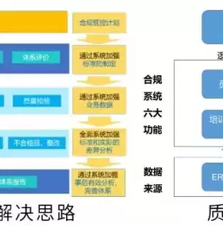 以下哪些属于合规的执行标准，以下哪个选项属于合规审查的原则