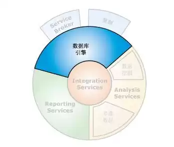 数据挖掘的常见技术有哪些，数据挖掘的常见技术有