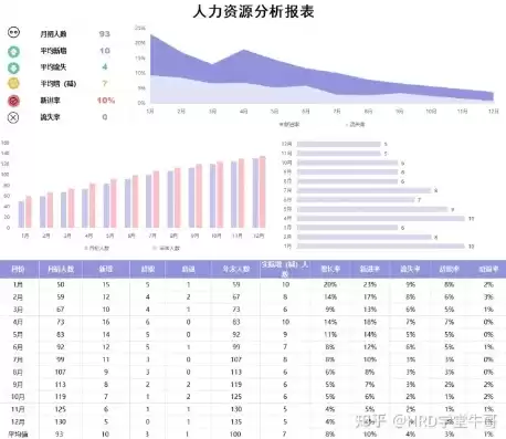 人力资源数据可视化模板，人力资源可视化服务体验