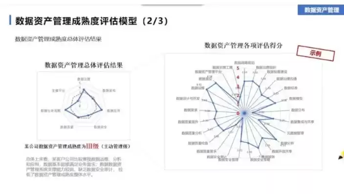 资产数据治理报告范文，资产数据治理报告