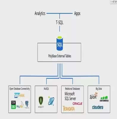 微软数据库SQL，数据库sql