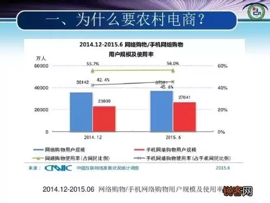 农村电子商务发展现状及对策研究，农村电子商务的应用现状及未来趋势