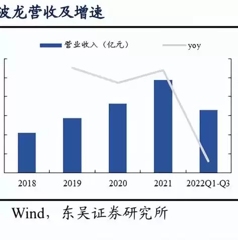 存储芯片 龙头，存储器芯片龙头