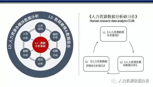 人力资源数据分析排版