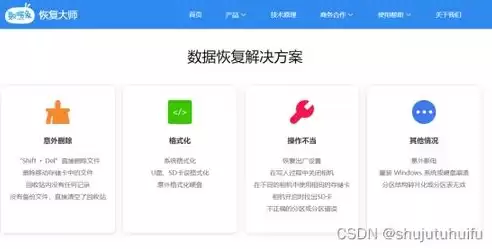 数据恢复软件公司，数据恢复专业公司