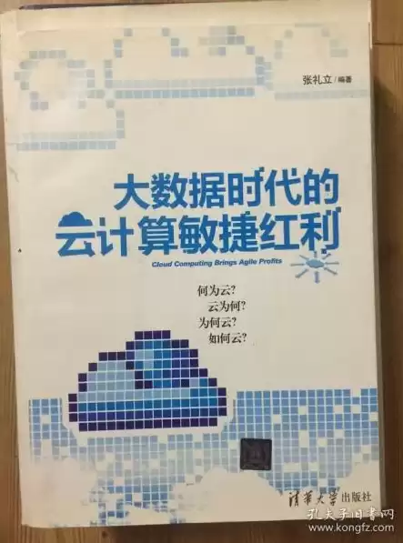 大数据时代公民隐私权的民法保护，大数据时代个人隐私权的民法有哪些