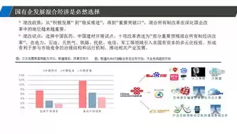 什么叫混合企业，混合企业有哪些公司